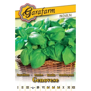Bazsalikom 'Genovese' prémium vetőmag