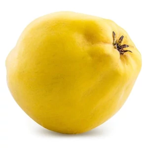 Cydonia oblonga 'Bereczki bőtermő' / 'Bereczki bőtermő' birsfa (szabadgyökeres)