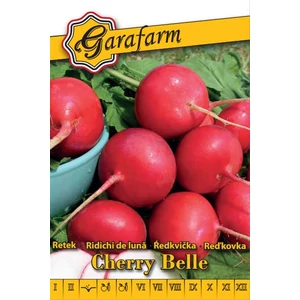 Hónapos retek 'Cherry Belle' vetőmag