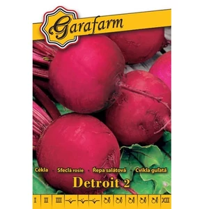 Gömbcékla 'Detroit 2' vetőmag