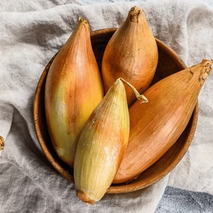 Sonkahagyma 'Birnformige' dughagyma