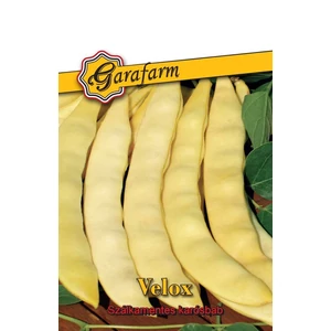 Sárgahüvelyű karósbab 'Velox' vetőmag