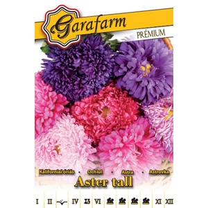 Őszirózsa 'Kaliforniai óriás' színkeverék prémium vetőmag