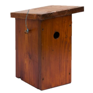 A típusú madárodú