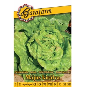 Fejessaláta 'Május királya' vetőmag
