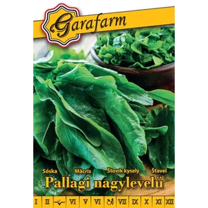 Sóska 'Pallagi nagylevelű' vetőmag