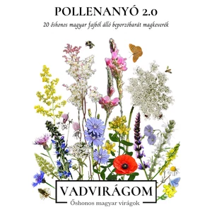 Pollenanyó 2.0 - méhlegelő magkeverék