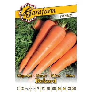 Sárgarépa 'Rekord' prémium vetőmag