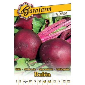 Gömbcékla 'Rubin' prémium vetőmag
