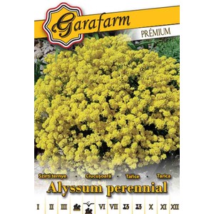 Szirti ternye 'Alyssum perennial' prémium vetőmag