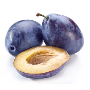 Prunus domestica 'President' / 'President' szilvafa