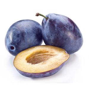 Prunus domestica 'President' / Konténeres 'President' szilvafa