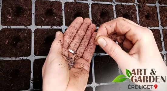 Veteményest minden kertbe!