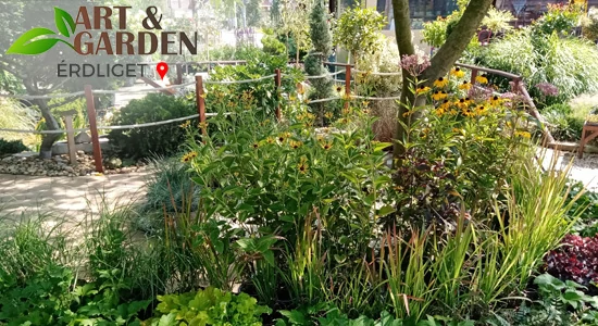 Aktuális teendők a kertben - AUGUSZTUS