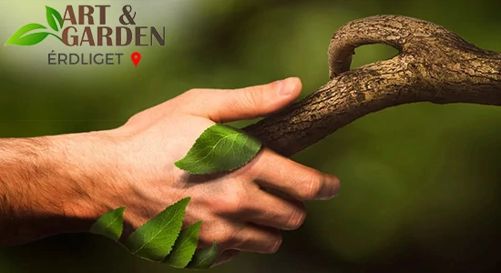 Egy bimbózó új partneri kapcsolat a természetesség jegyében