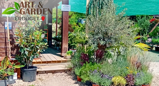 Aktuális teendők a kertben - JÚNIUS