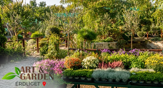 Az egészséghez a kerteden át vezet az út