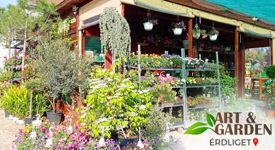 Aktuális teendők a kertben - MÁJUS