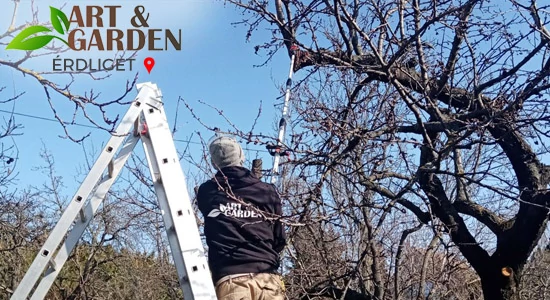 Aktuális teendők a kertben - FEBRUÁR