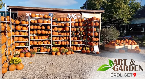 Aktuális teendők a kertben - OKTÓBER