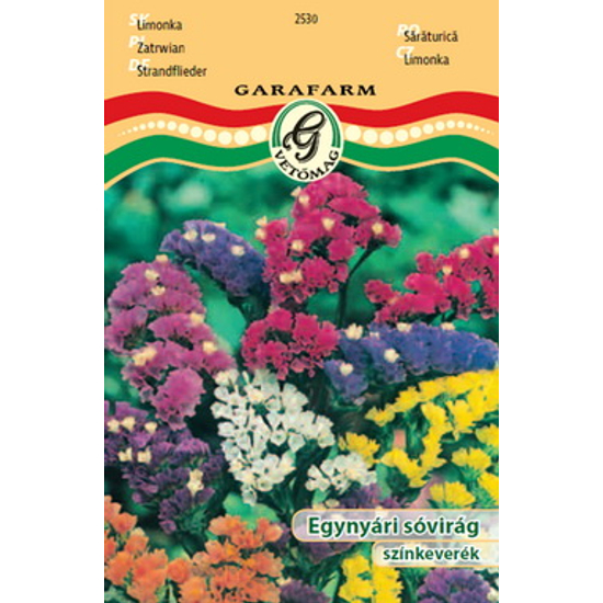 Limonium spp. / Egynyári sóvirág színkeverék