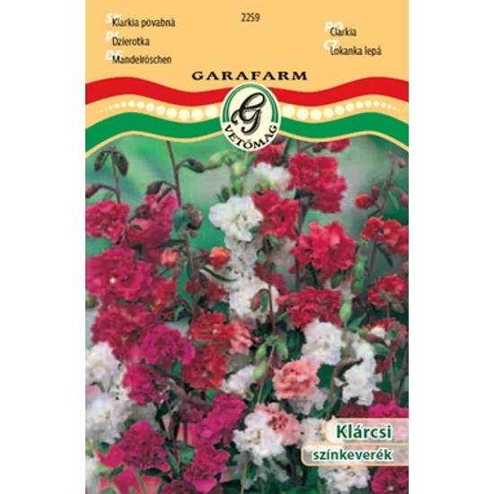 Clarkia unguiculata / Klárcsi színkeverék