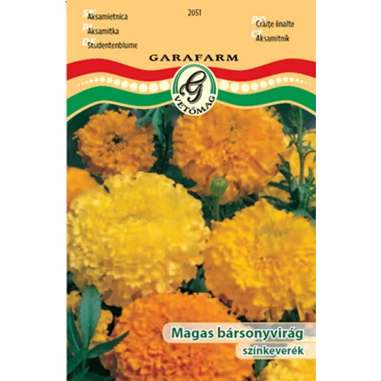 Tagetes erecta / Magas bársonyvirág színkeverék
