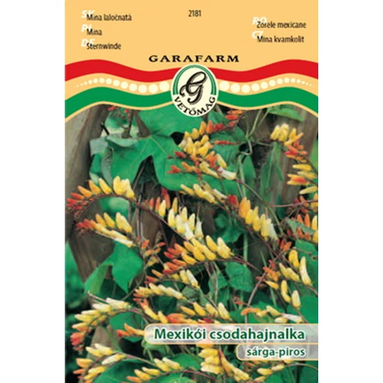 Mina lobata / Mexikói csodahajnalka sárga-piros