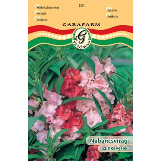 Impatiens balsamina / Nebáncsvirág színkeverék