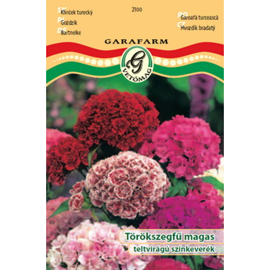 Dianthus barbatus / Törökszegfű magas színkeverék
