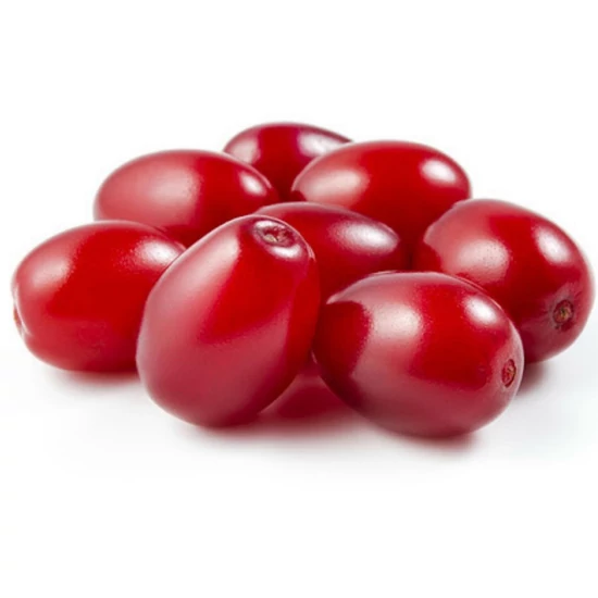 Cornus mas 'Kazanlak' / Húsos som