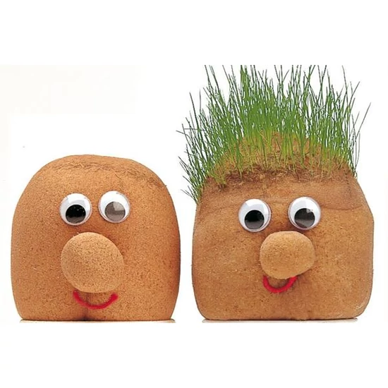 Fűfej