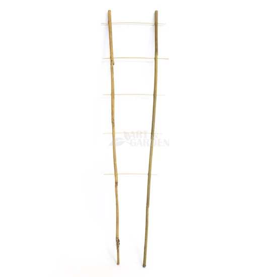 Bambusz létra 060 cm