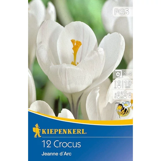 Crocus 'Jeanne d'Arc' / 'Jeanne d'Arc' nagyvirágú krókusz virághagyma