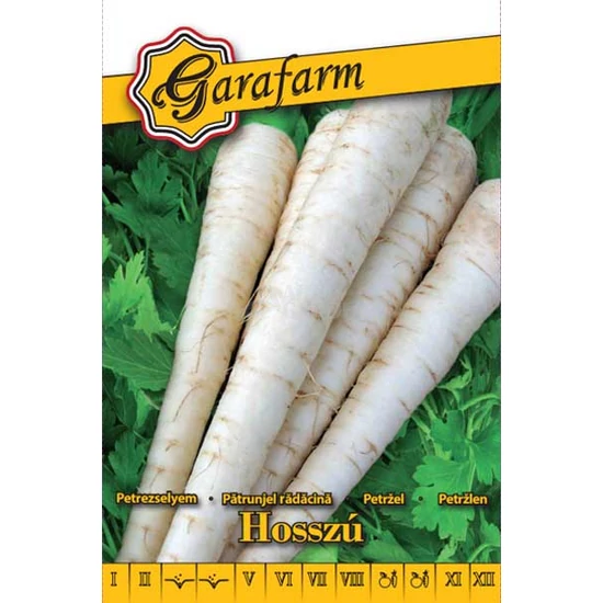 Petrezselyem 'Hosszú' vetőmag