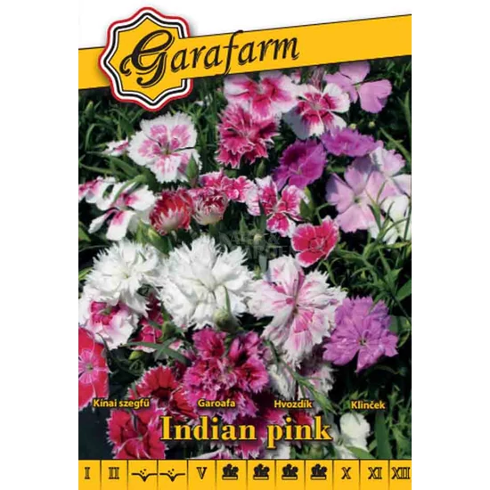 Kínai szegfű teltvirágú színkeverék vetőmag