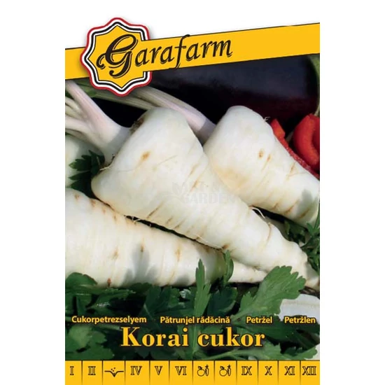 Petrezselyem 'Korai cukor' vetőmag