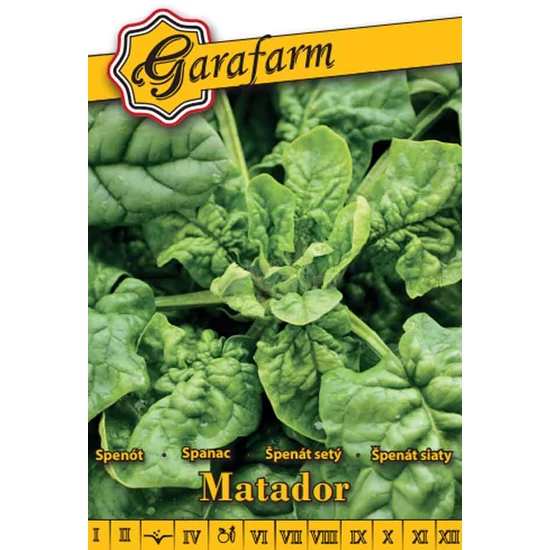 Spenót 'Matador' vetőmag