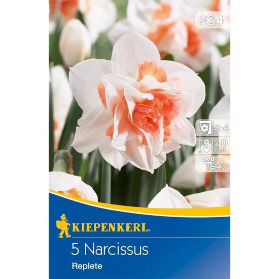 Narcissus 'Replete' / 'Replete' teltvirágú nárcisz virághagyma
