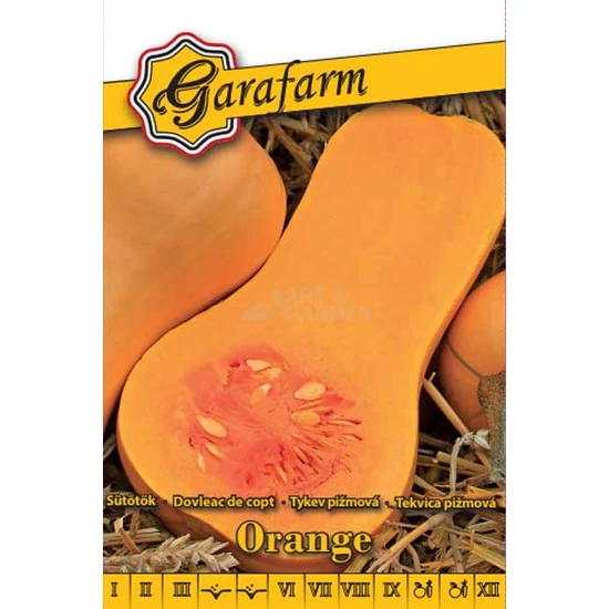 Sütőtök 'Orange' vetőmag