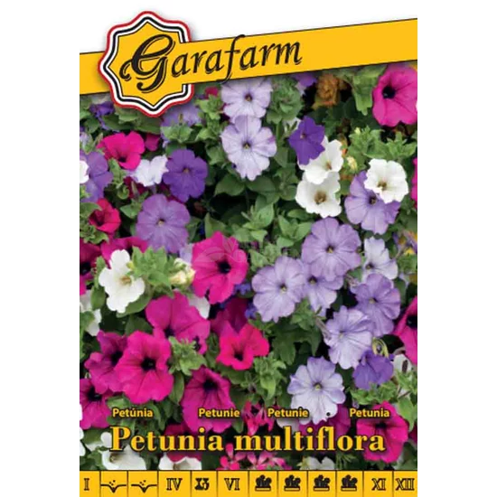 Petúnia alacsony sokvirágú színkeverék vetőmag