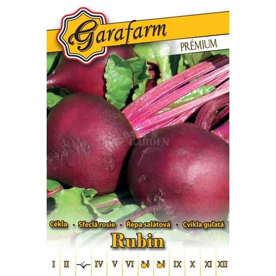 Gömbcékla 'Rubin' prémium vetőmag