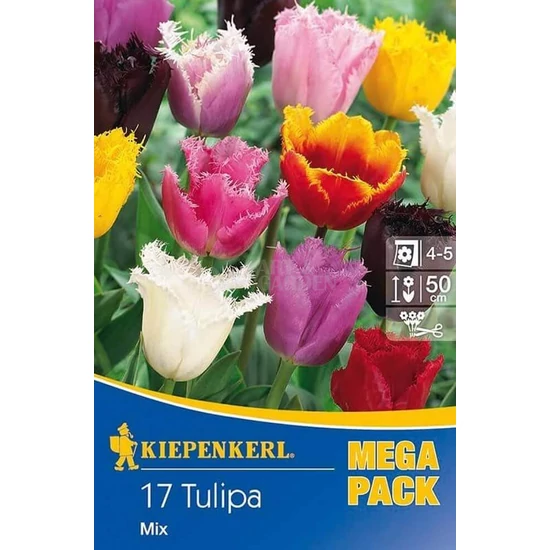 Tulipa 'Mega Pack' / Rojtosvirágú tulipán mix virághagyma