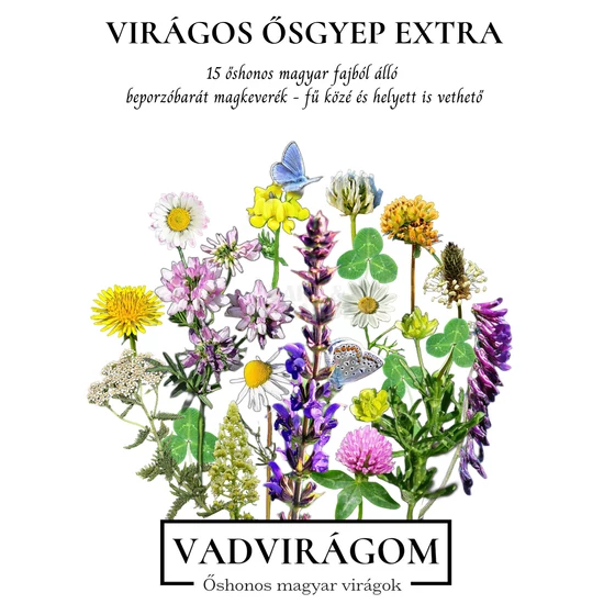Virágos ősgyep extra magkeverék