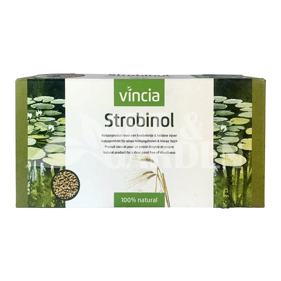 Algairtó 'Strobinol'