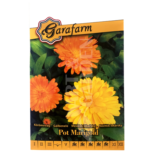 Körömvirág alacsony színkeverék Pot Marigold (prémium)