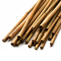 Kép 1/2 - Bambusz karó 300 cm