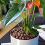 Kép 2/2 - Agyaggranulátum 50 liter