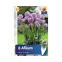 Kép 2/2 - Allium 'Rosy Dreams' / Díszhagyma