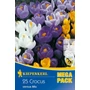 Kép 1/2 - Crocus 'Vernus Mix Mega Pack' / Nagyvirágú krókusz mix virághagyma